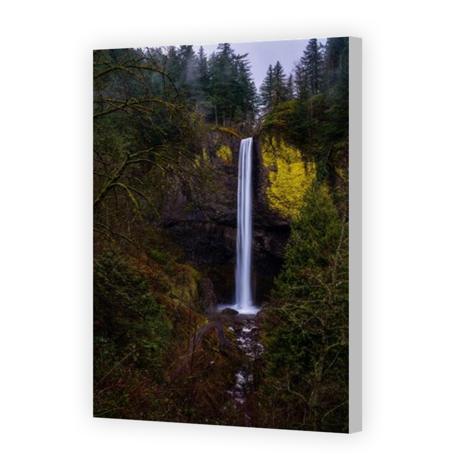 Thumbnail for Canvas - Coloured Canvas Wrap