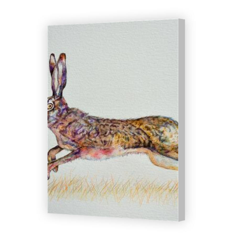 Thumbnail for Canvas - Coloured Canvas Wrap