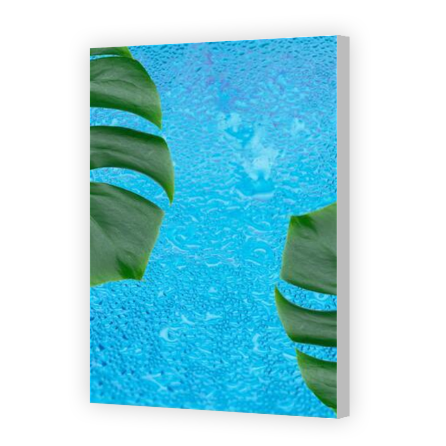 Thumbnail for Canvas - Coloured Canvas Wrap