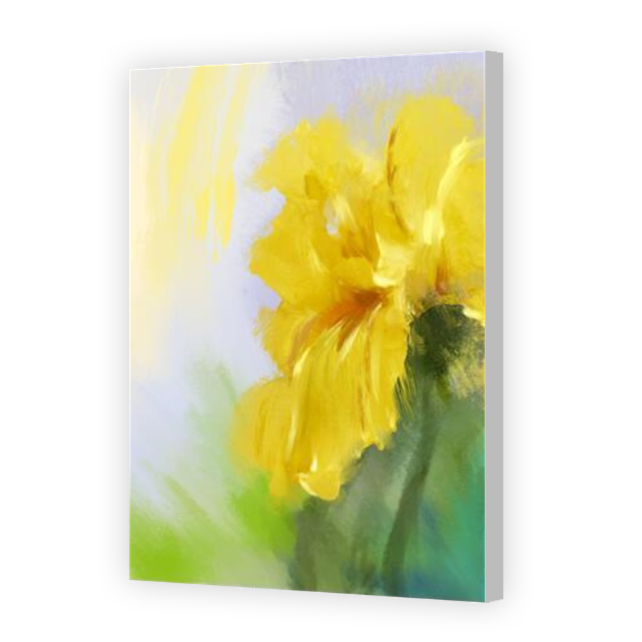 Thumbnail for Canvas - Coloured Canvas Wrap