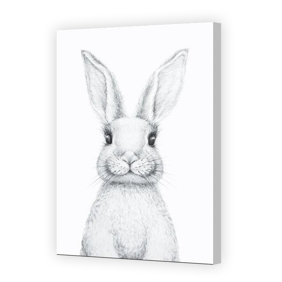 Thumbnail for Canvas - Coloured Canvas Wrap