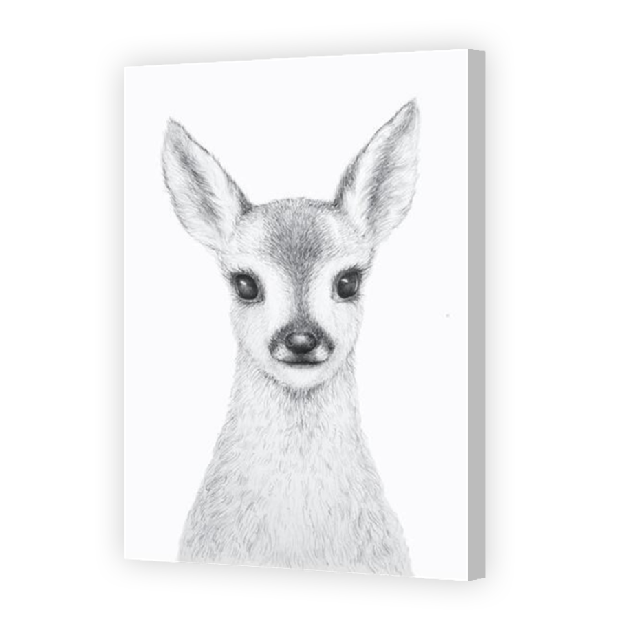 Thumbnail for Canvas - Coloured Canvas Wrap
