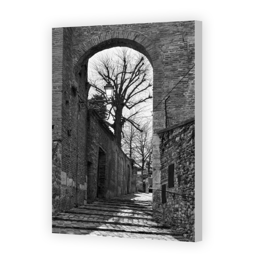 Thumbnail for Canvas - Coloured Canvas Wrap
