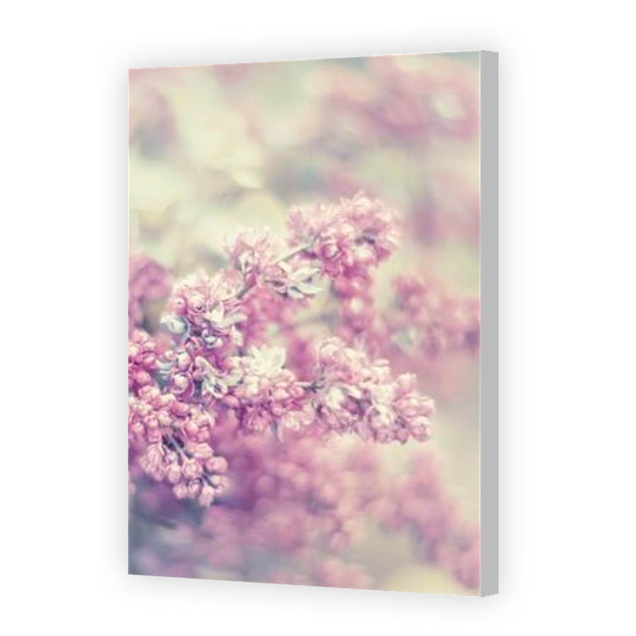 Thumbnail for Canvas - Coloured Canvas Wrap
