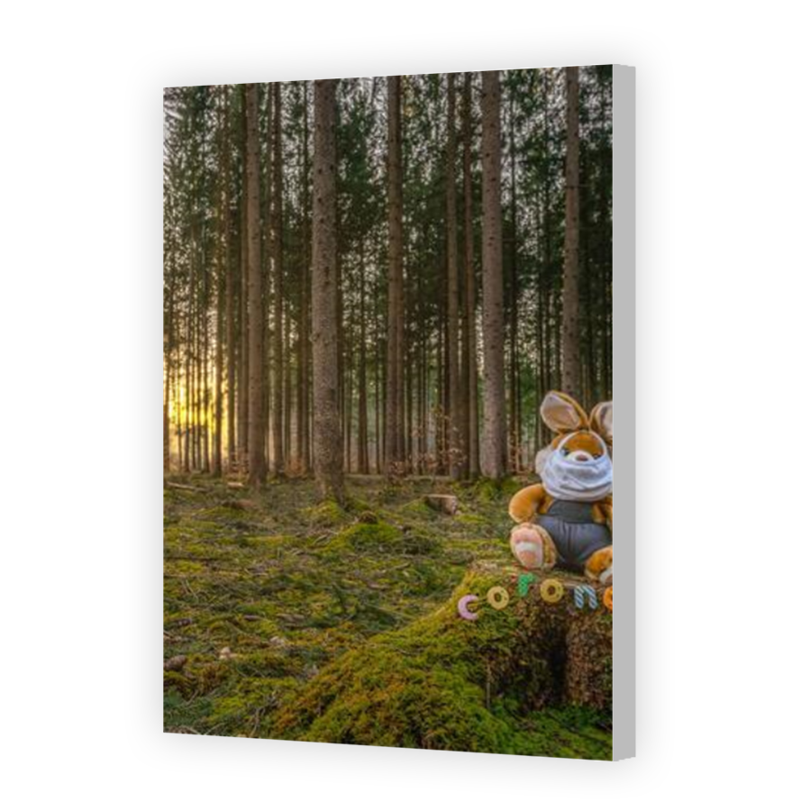 Thumbnail for Canvas - Coloured Canvas Wrap