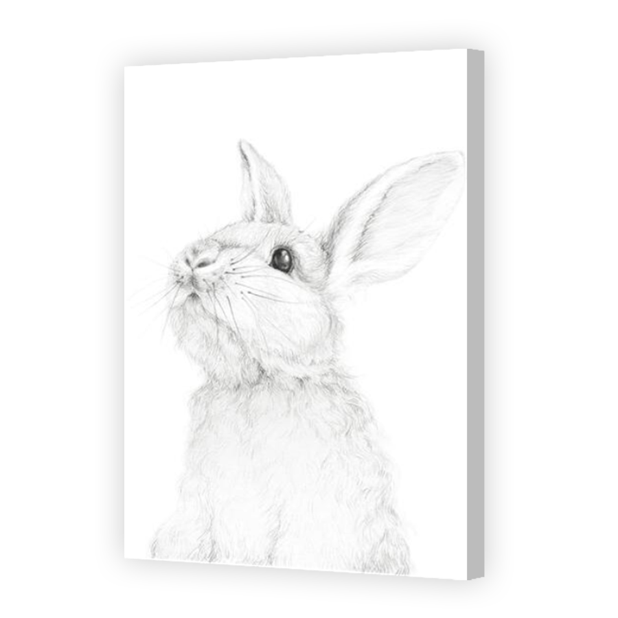 Thumbnail for Canvas - Coloured Canvas Wrap