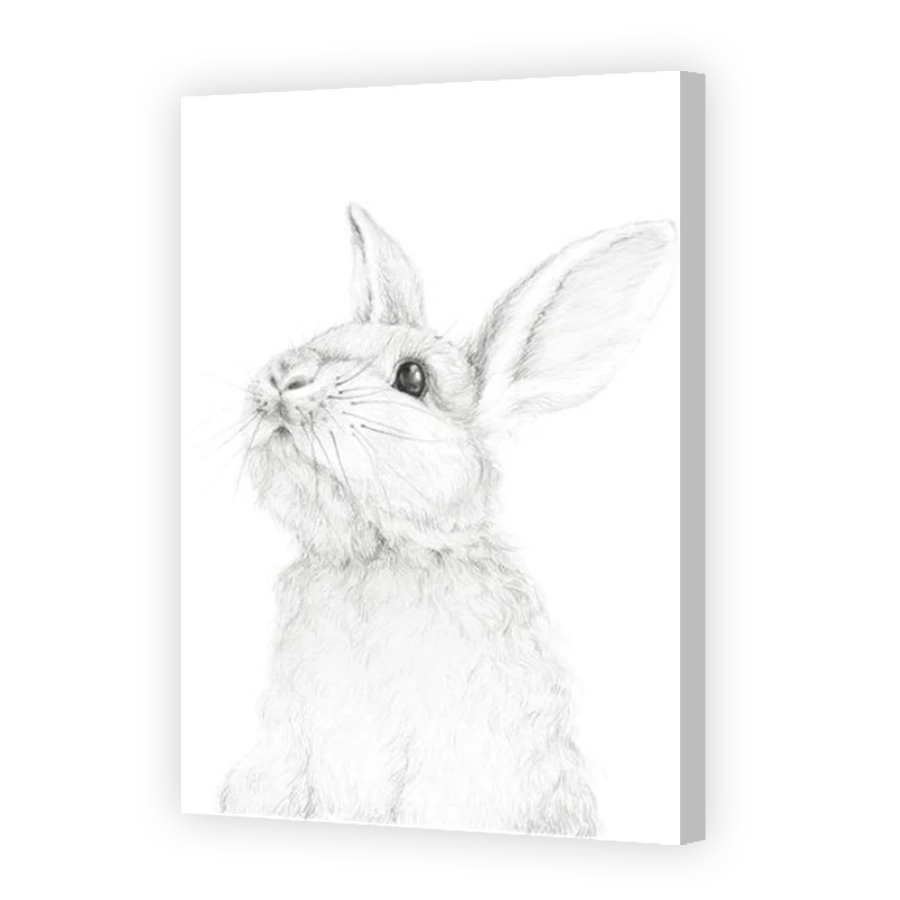 Thumbnail for Canvas - Coloured Canvas Wrap