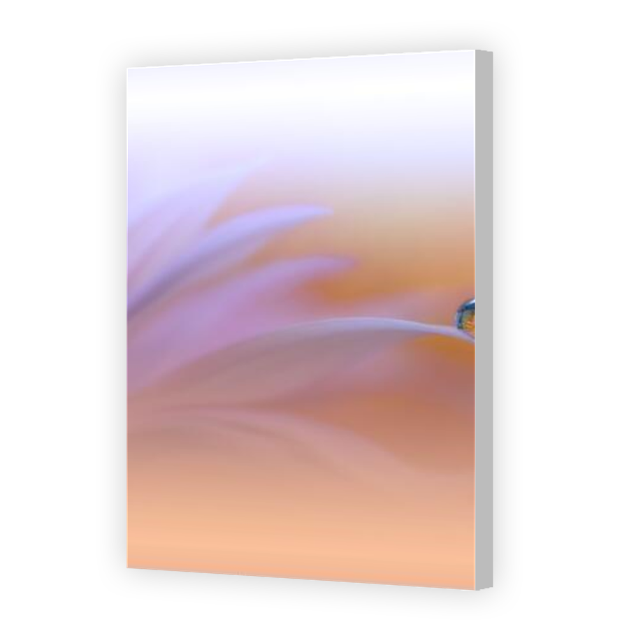 Thumbnail for Canvas - Coloured Canvas Wrap