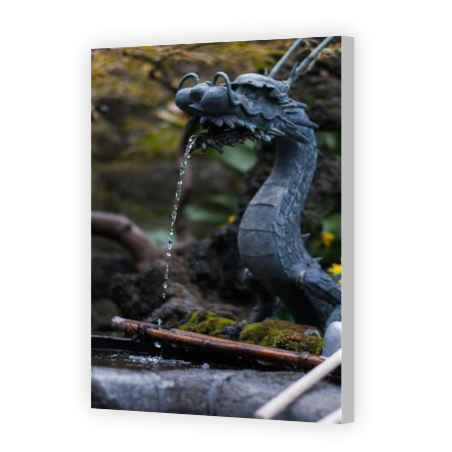 Thumbnail for Canvas - Coloured Canvas Wrap