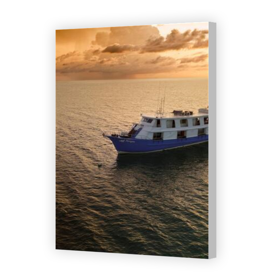 Thumbnail for Canvas - Coloured Canvas Wrap