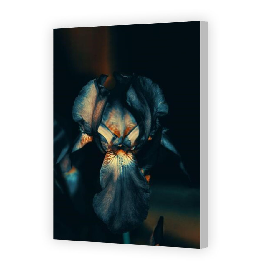 Thumbnail for Canvas - Coloured Canvas Wrap