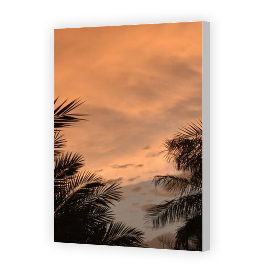 Thumbnail for Canvas - Coloured Canvas Wrap