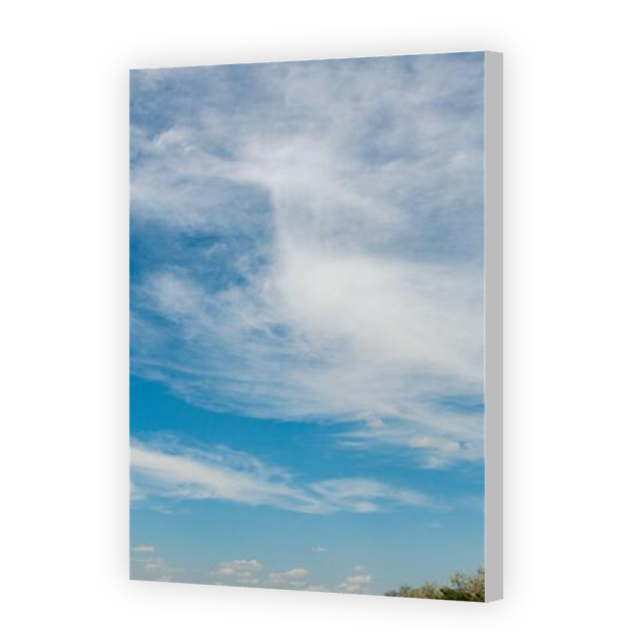 Thumbnail for Canvas - Coloured Canvas Wrap