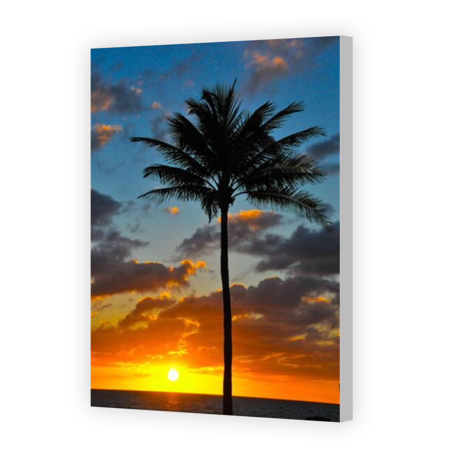 Thumbnail for Canvas - Coloured Canvas Wrap