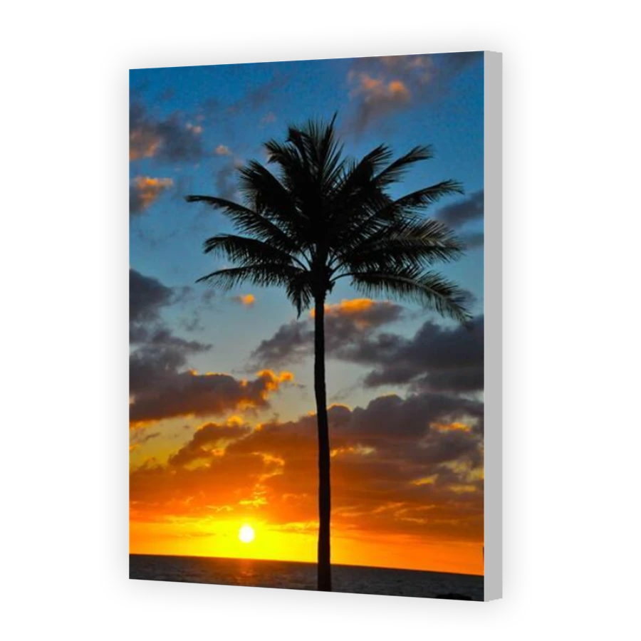 Thumbnail for Canvas - Coloured Canvas Wrap