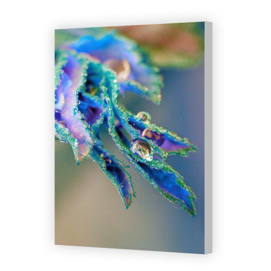 Thumbnail for Canvas - Coloured Canvas Wrap