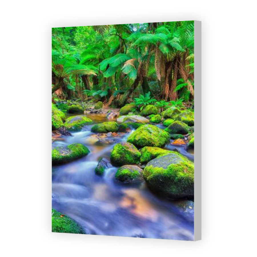 Thumbnail for Canvas - Coloured Canvas Wrap