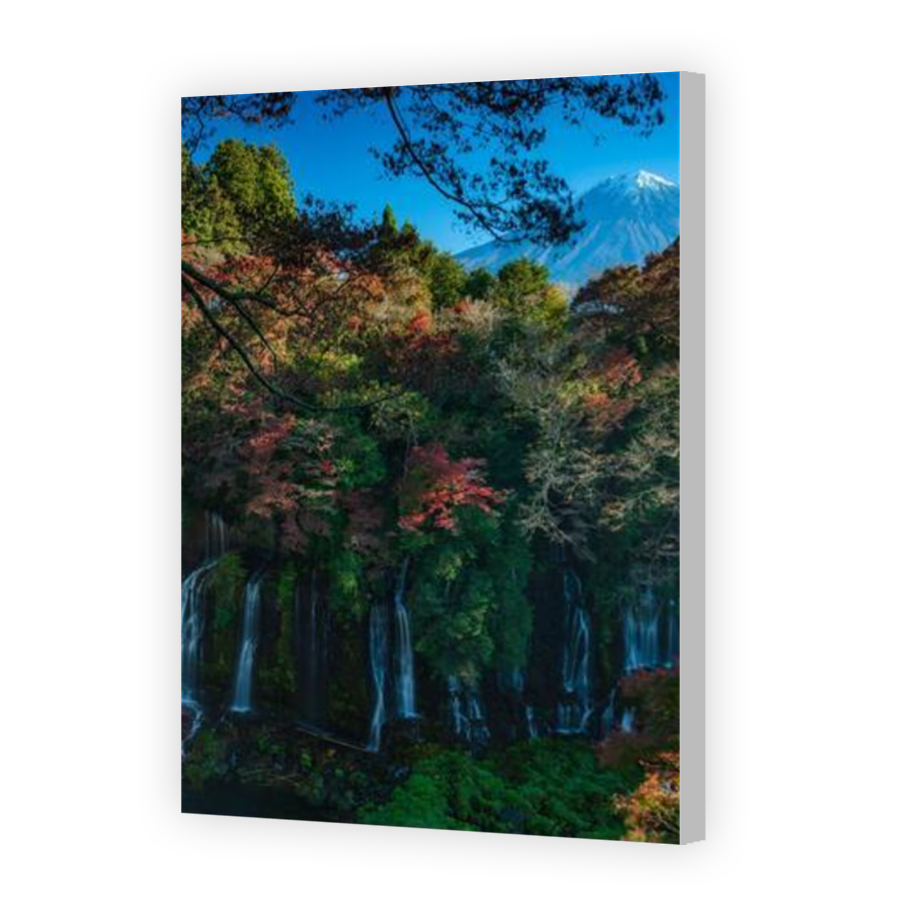 Thumbnail for Canvas - Coloured Canvas Wrap