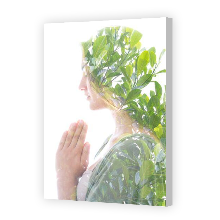 Thumbnail for Canvas - Coloured Canvas Wrap
