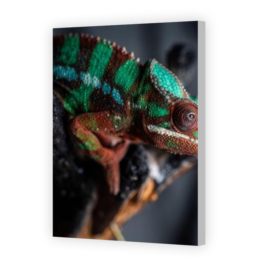 Thumbnail for Canvas - Coloured Canvas Wrap