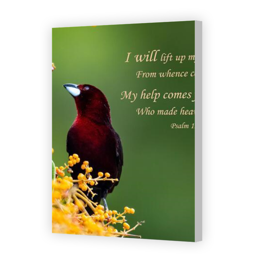 Thumbnail for Canvas - Coloured Canvas Wrap