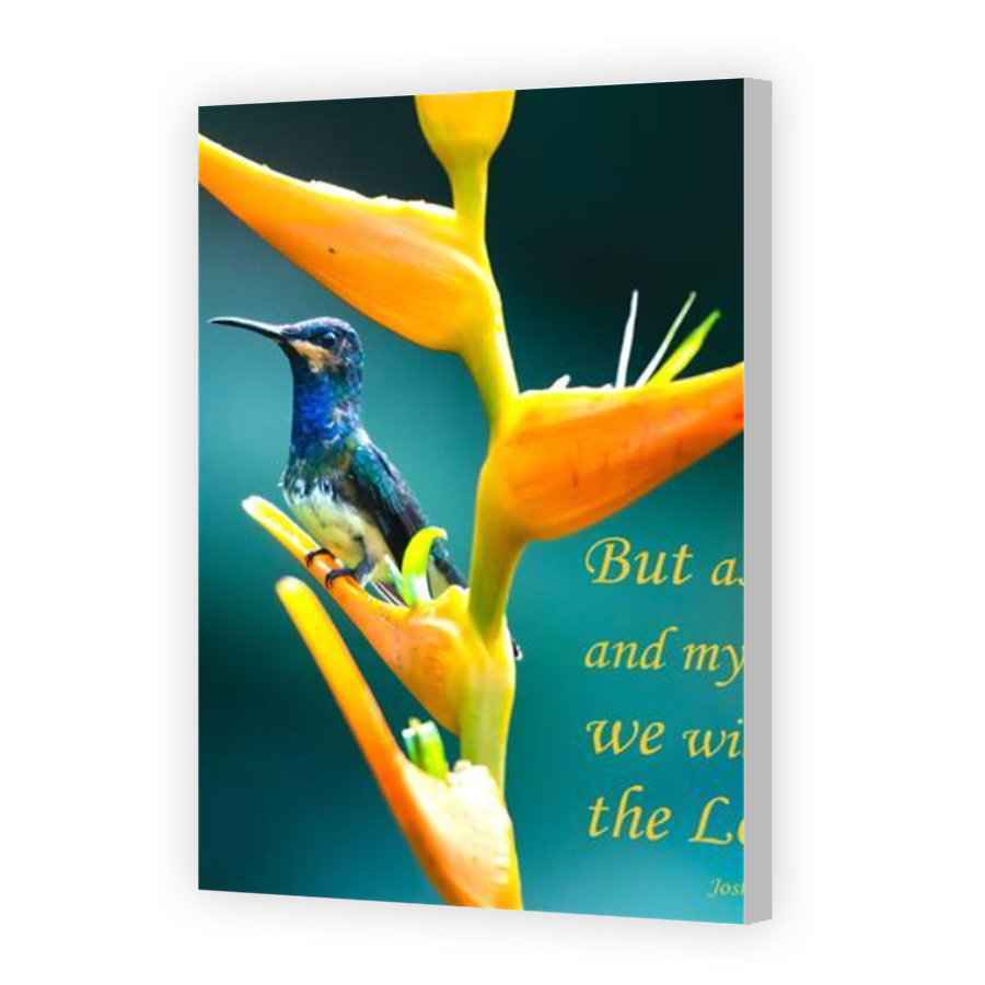 Thumbnail for Canvas - Coloured Canvas Wrap