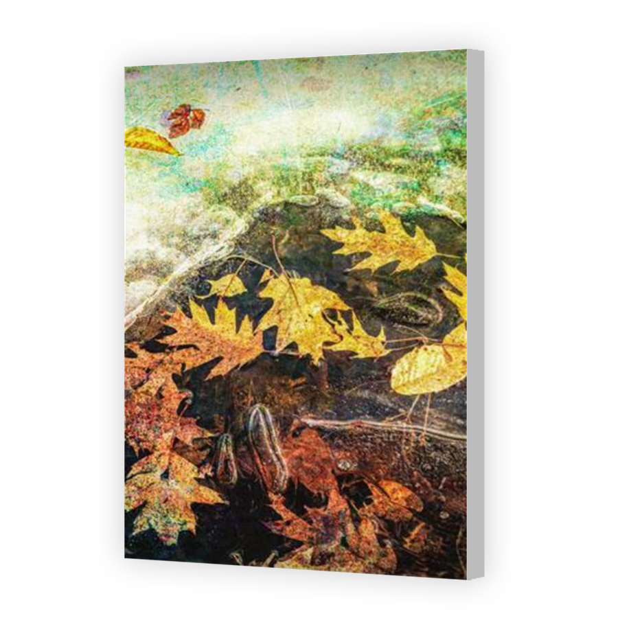 Thumbnail for Canvas - Coloured Canvas Wrap