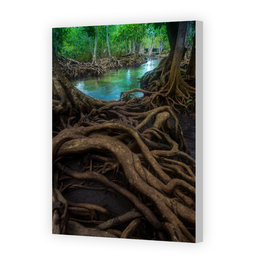 Thumbnail for Canvas - Coloured Canvas Wrap
