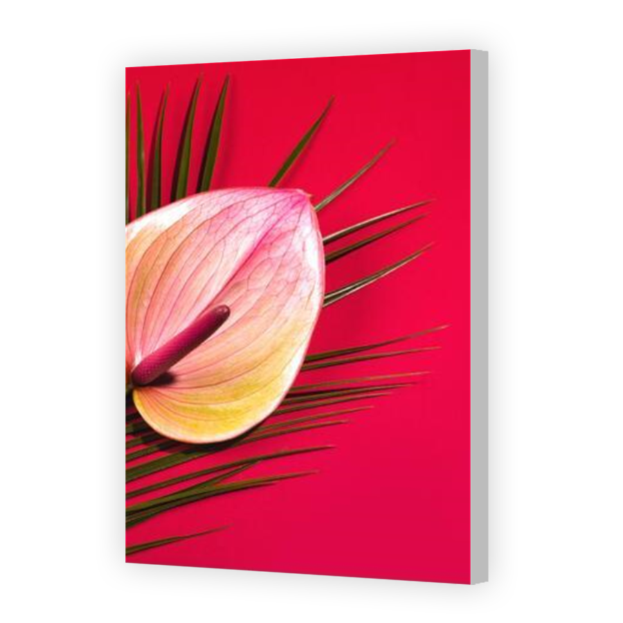Thumbnail for Canvas - Coloured Canvas Wrap