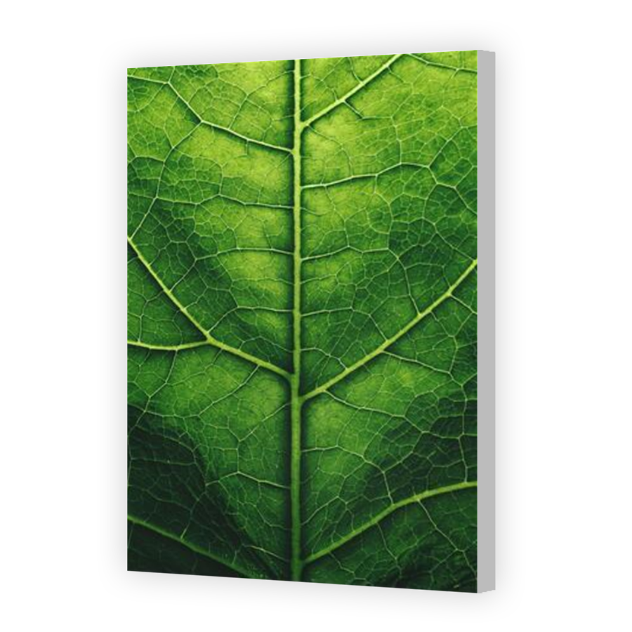 Thumbnail for Canvas - Coloured Canvas Wrap