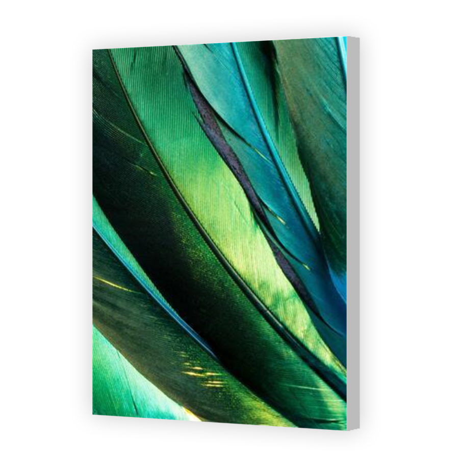Thumbnail for Canvas - Coloured Canvas Wrap