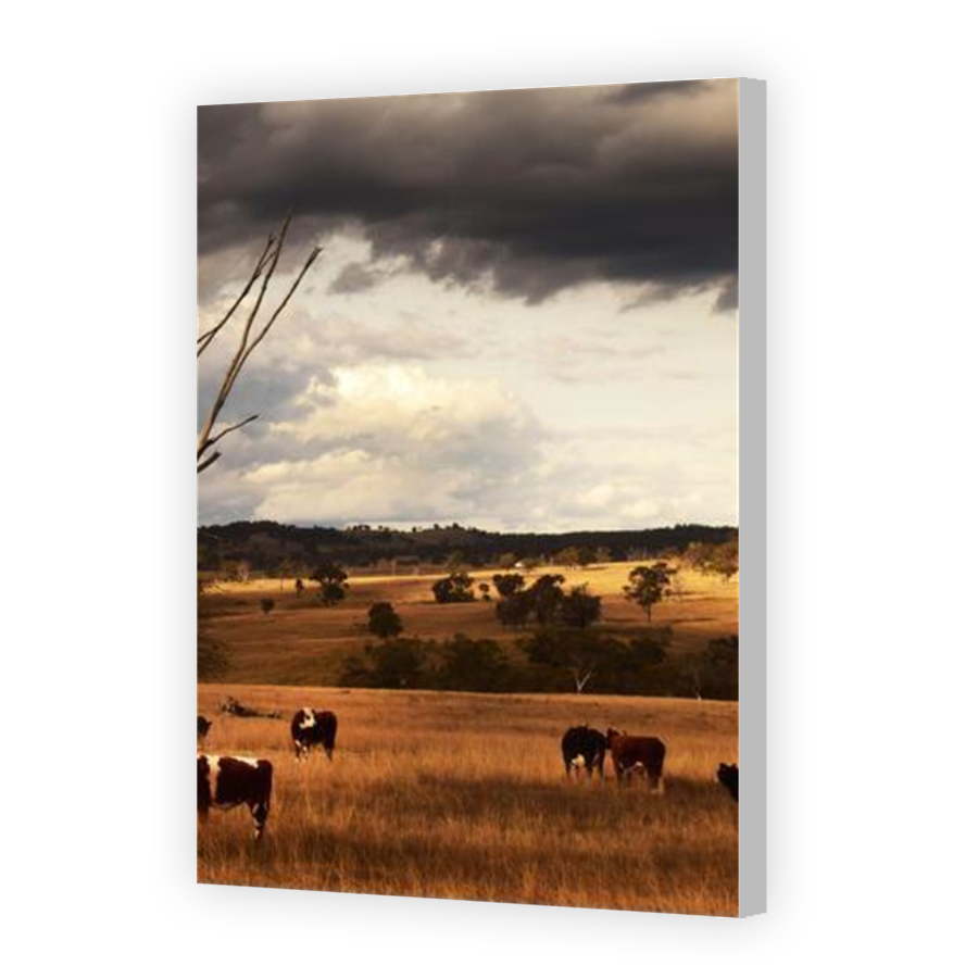 Thumbnail for Canvas - Coloured Canvas Wrap