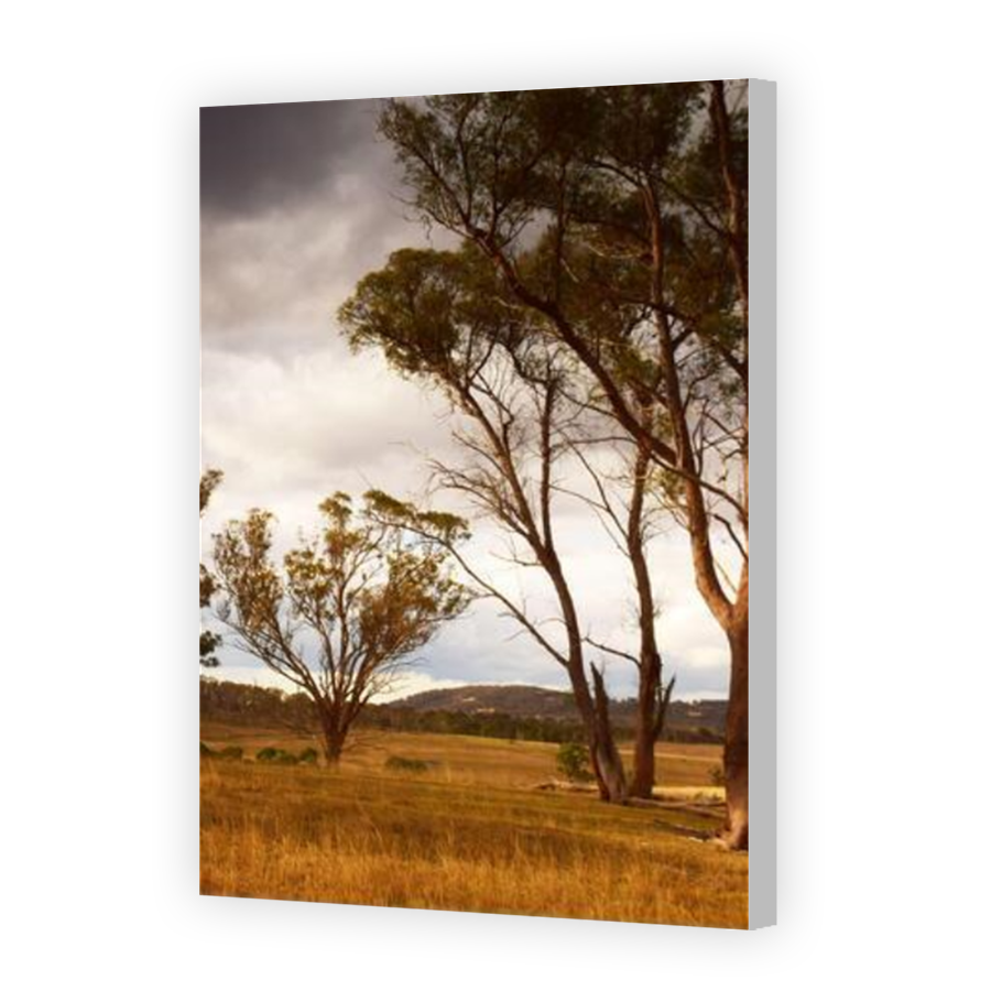 Thumbnail for Canvas - Coloured Canvas Wrap