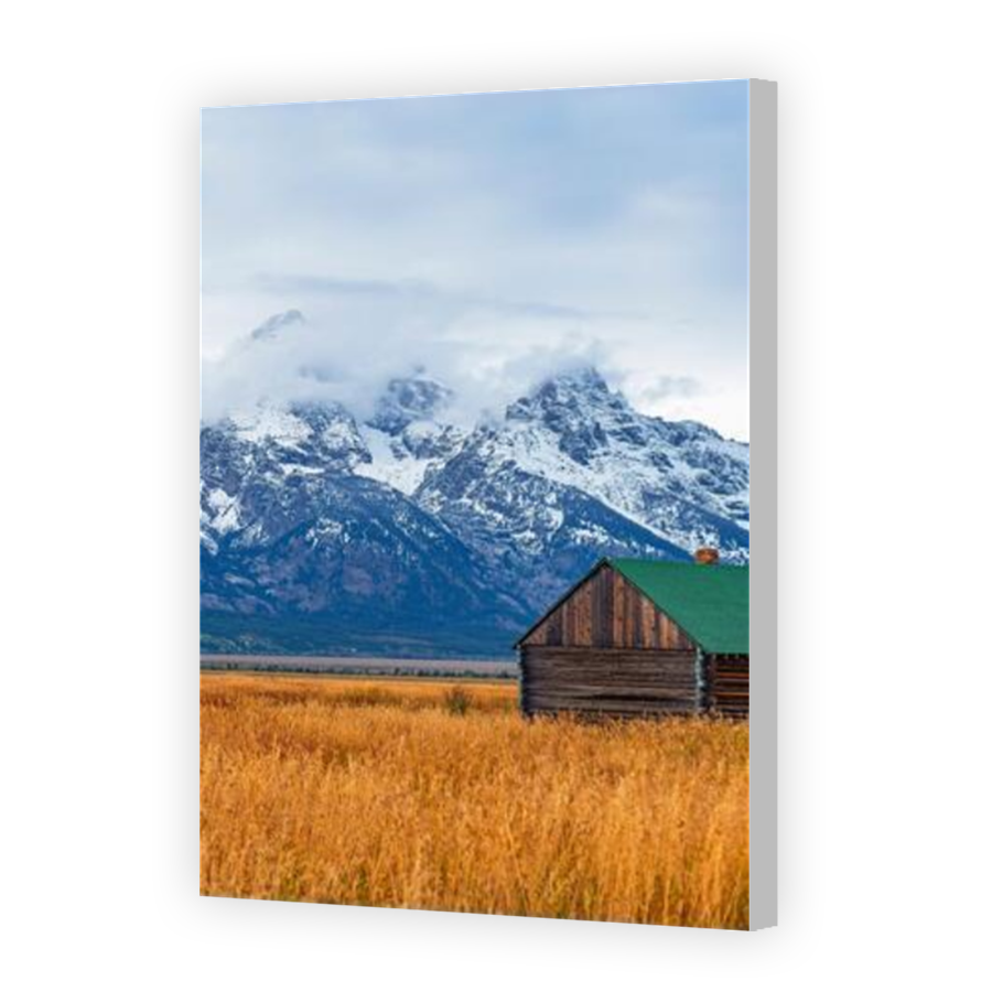 Thumbnail for Canvas - Coloured Canvas Wrap