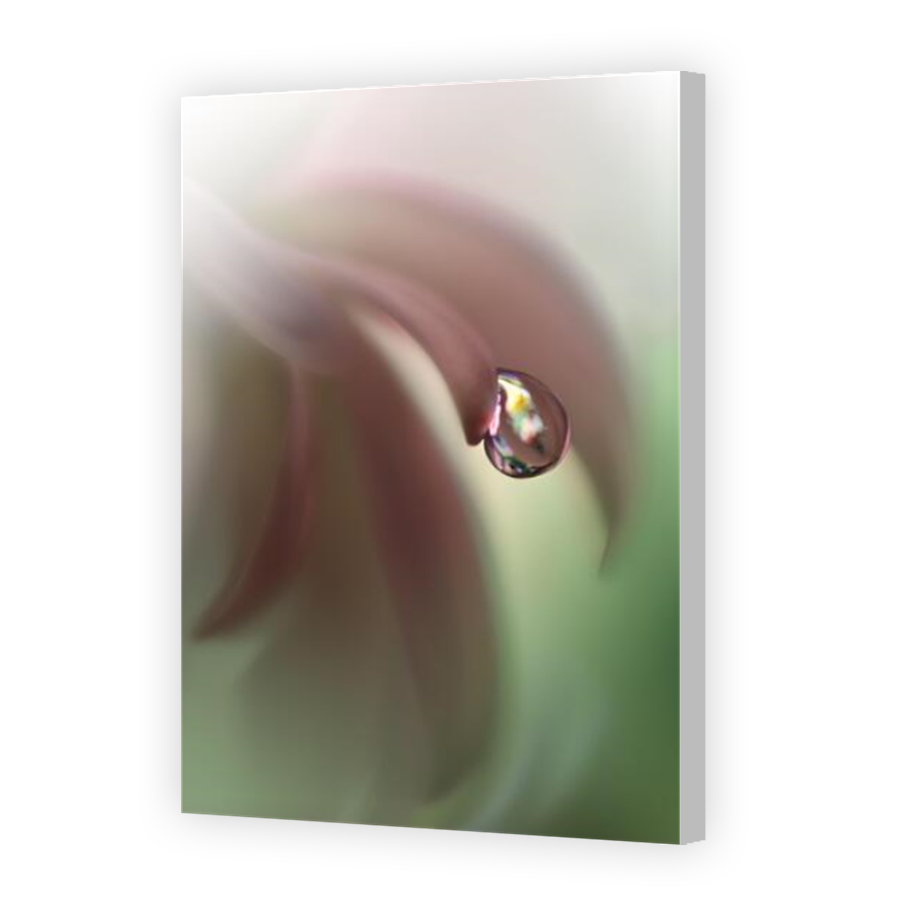 Thumbnail for Canvas - Coloured Canvas Wrap