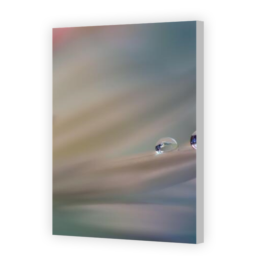 Thumbnail for Canvas - Coloured Canvas Wrap