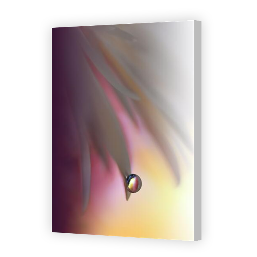 Thumbnail for Canvas - Coloured Canvas Wrap