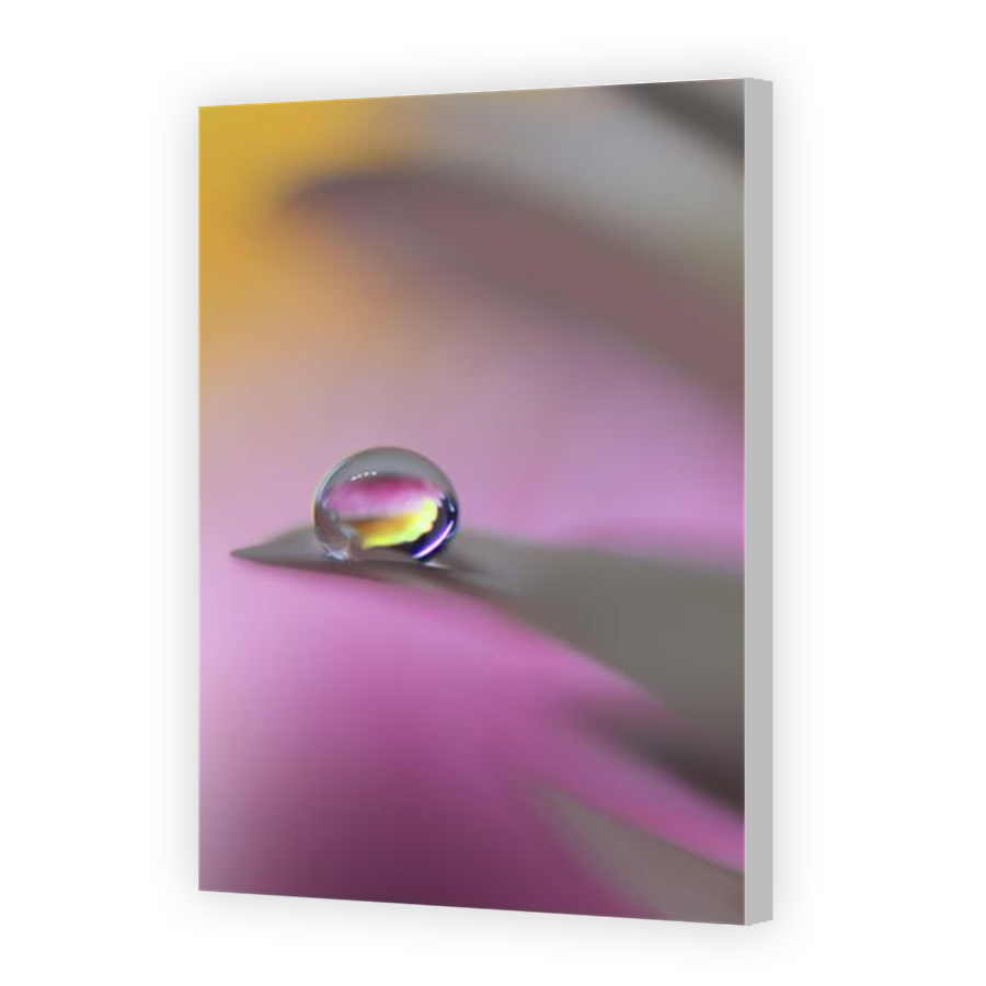 Thumbnail for Canvas - Coloured Canvas Wrap