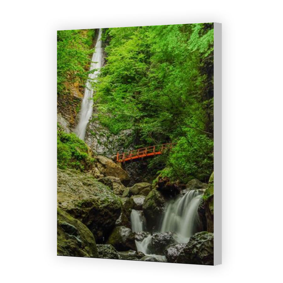 Thumbnail for Canvas - Coloured Canvas Wrap