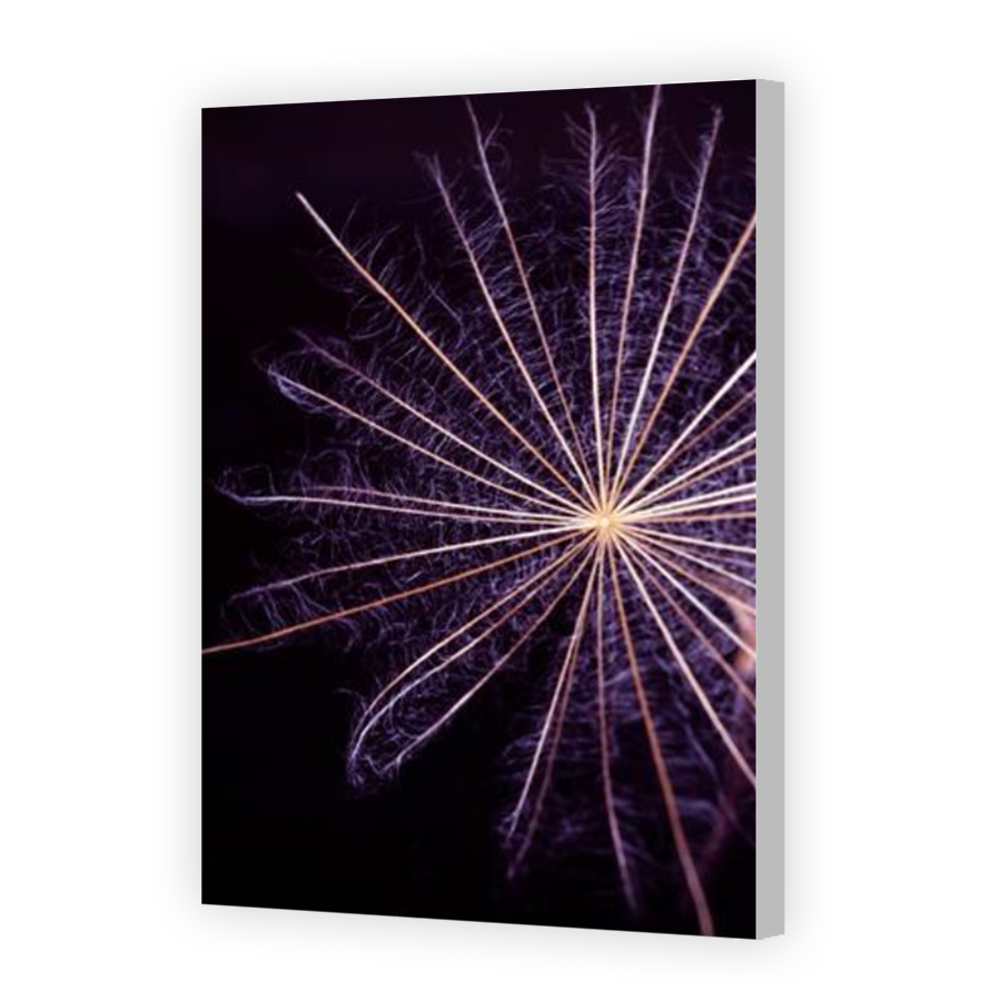 Thumbnail for Canvas - Coloured Canvas Wrap