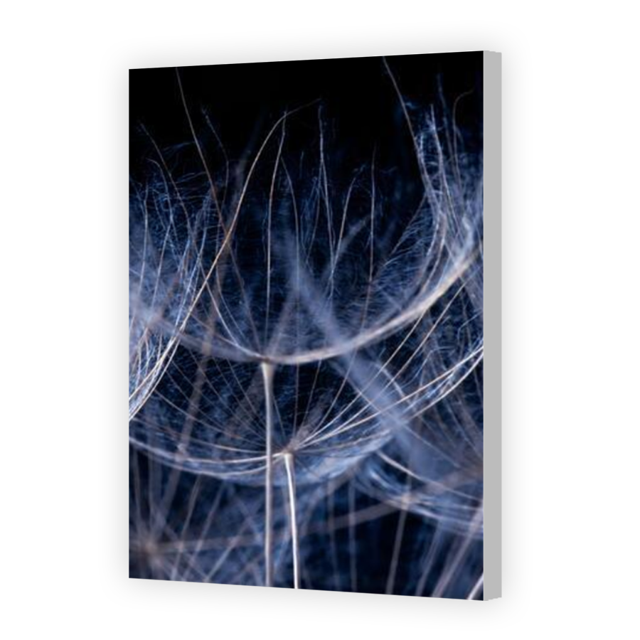 Thumbnail for Canvas - Coloured Canvas Wrap