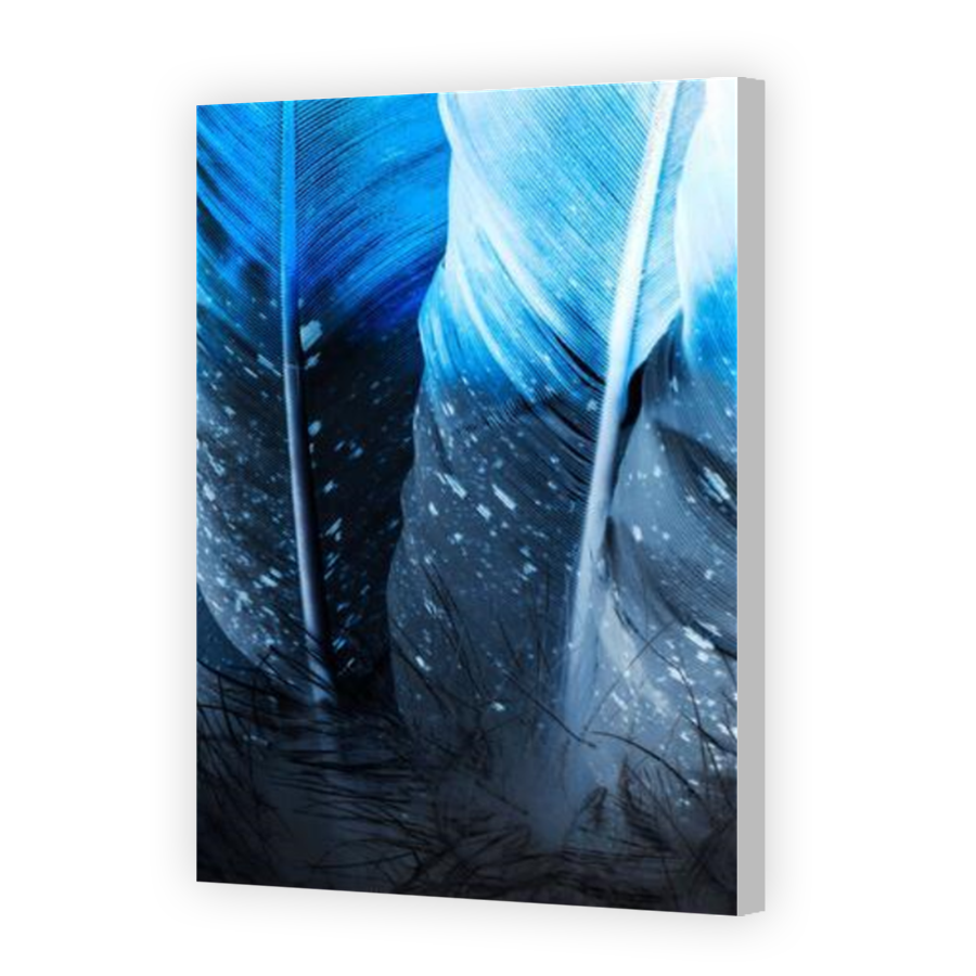 Thumbnail for Canvas - Coloured Canvas Wrap