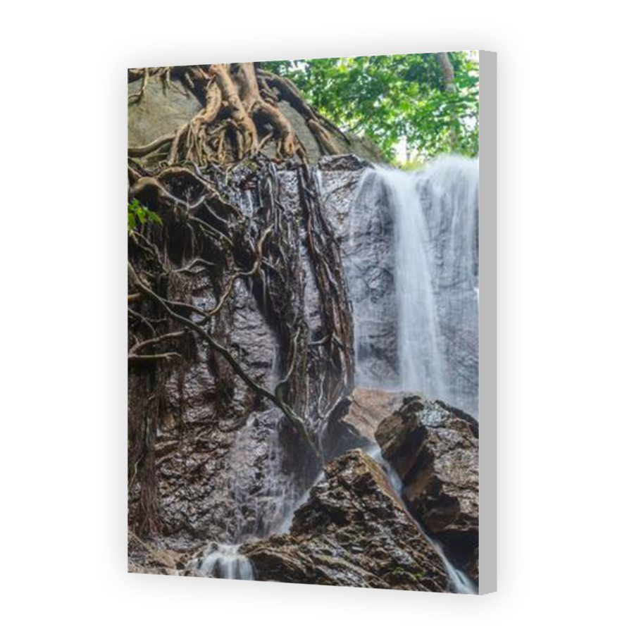 Thumbnail for Canvas - Coloured Canvas Wrap