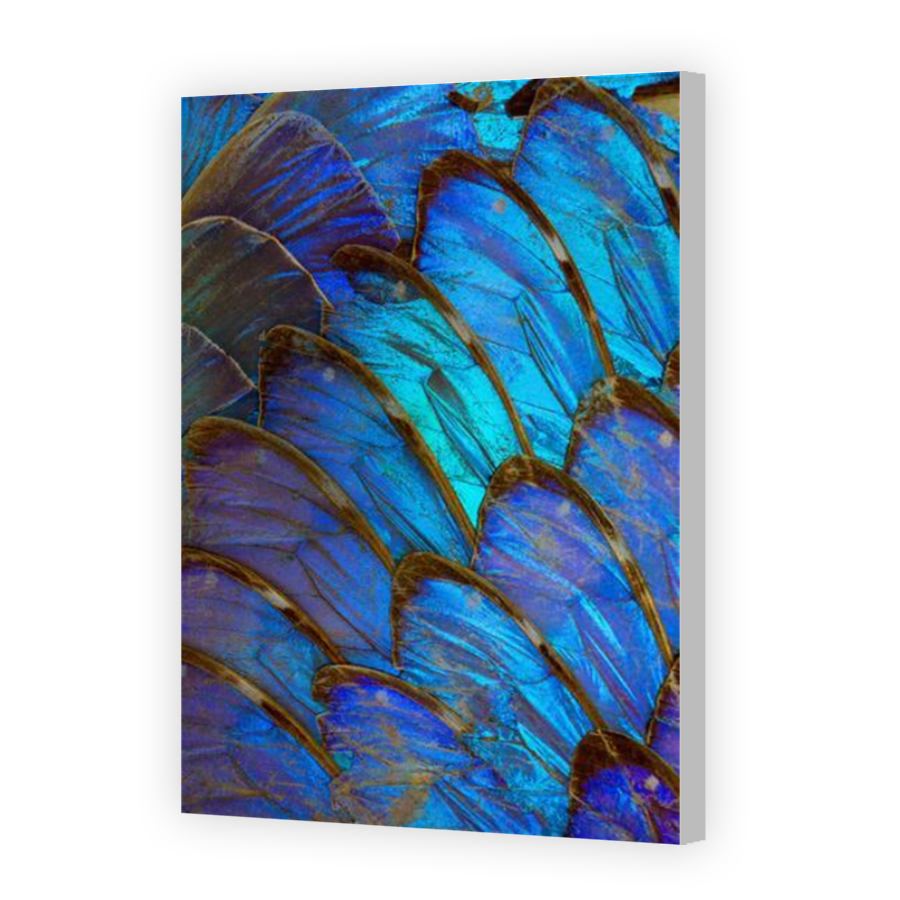Thumbnail for Canvas - Coloured Canvas Wrap