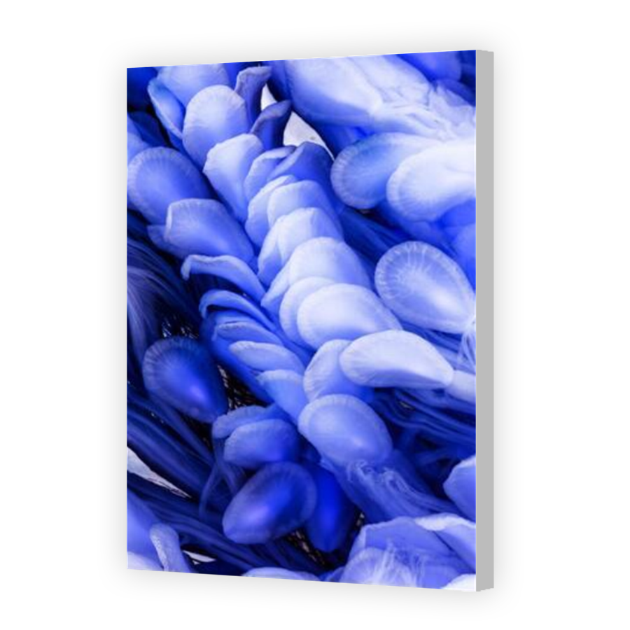 Thumbnail for Canvas - Coloured Canvas Wrap