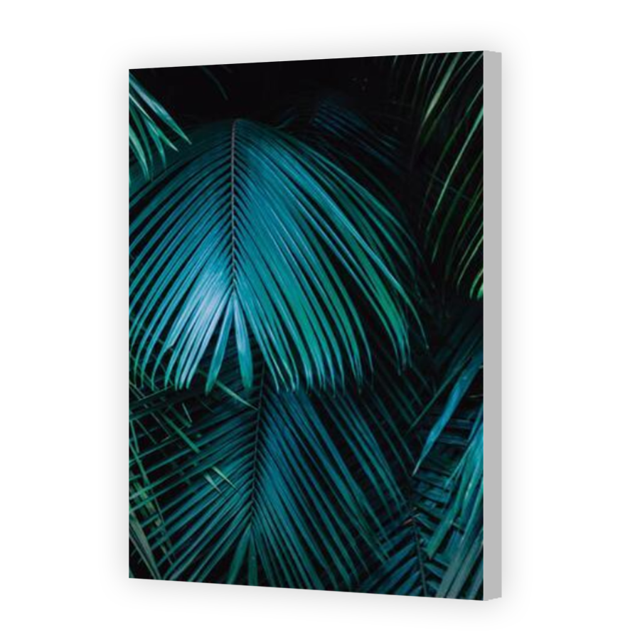 Thumbnail for Canvas - Coloured Canvas Wrap