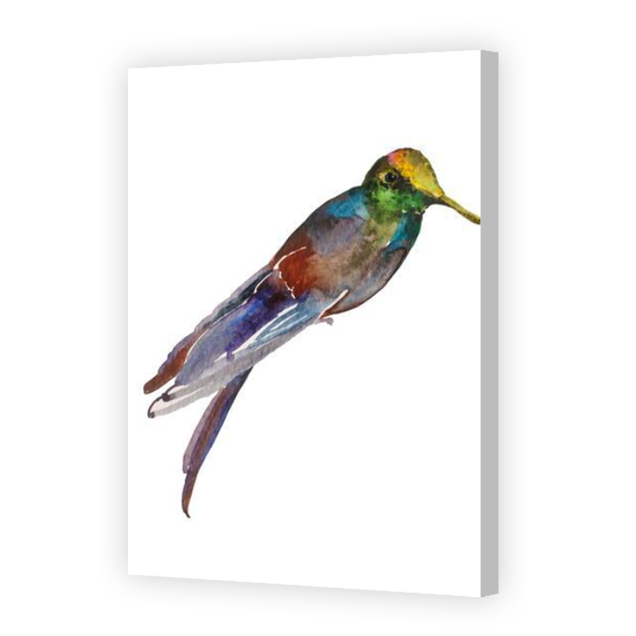 Thumbnail for Canvas - Coloured Canvas Wrap