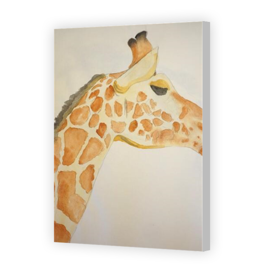 Thumbnail for Canvas - Coloured Canvas Wrap