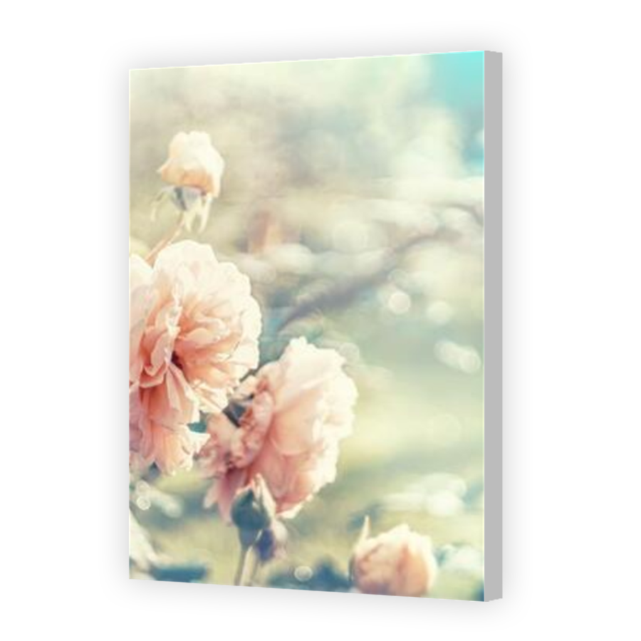 Thumbnail for Canvas - Coloured Canvas Wrap