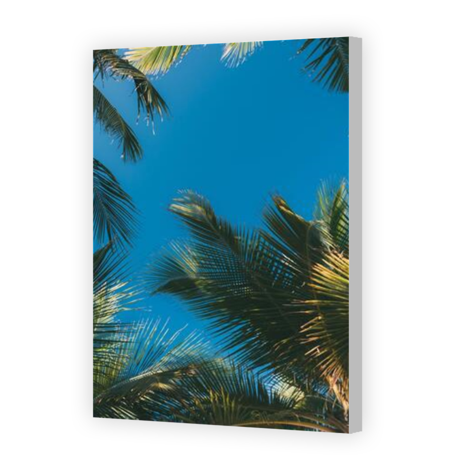 Thumbnail for Canvas - Coloured Canvas Wrap